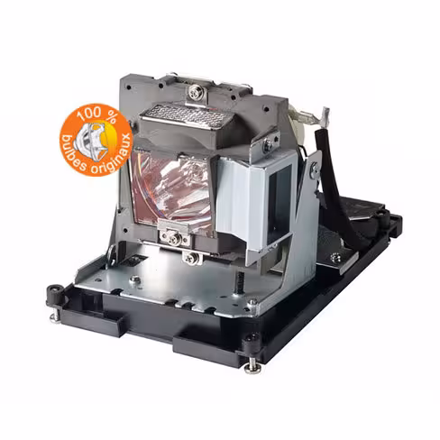 Lampe vidéoprojecteur InFocus - Original Inside - OI-SP-LAMP-065