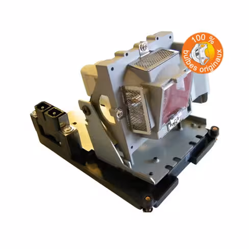 Lampe vidéoprojecteur InFocus - Original Inside - OI-SP-LAMP-072