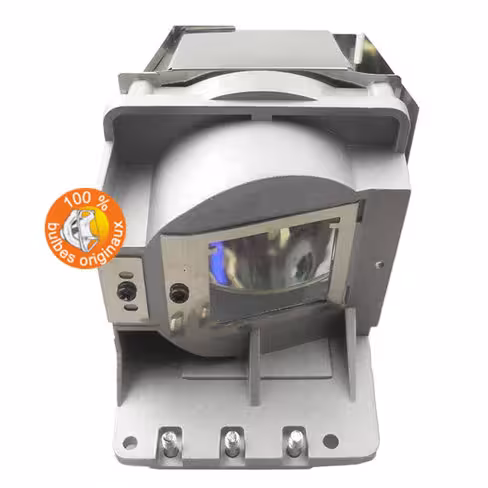 Lampe vidéoprojecteur InFocus - Original Inside - OI-SP-LAMP-087
