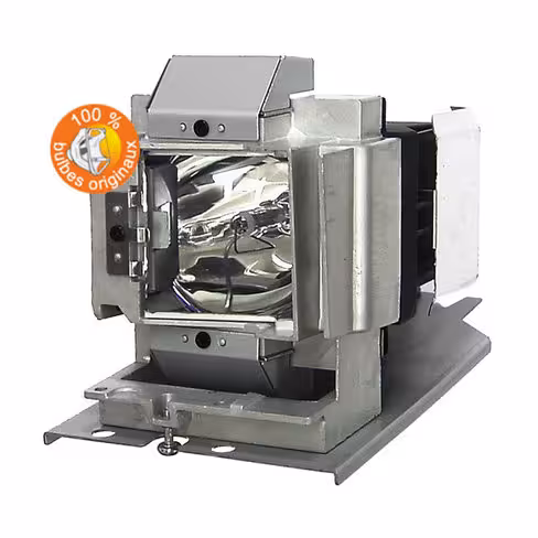 Lampe vidéoprojecteur InFocus - Original Inside - OI-SP-LAMP-088