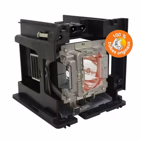 Lampe vidéoprojecteur Optoma - Original Inside - OI-5811118128-SOT