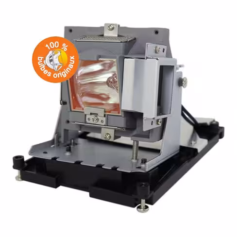 Lampe vidéoprojecteur Optoma - Original Inside - OI-DE.5811118436-SOT/ OI-BL-FU310B