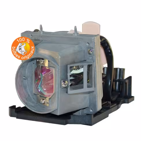 Lampe vidéoprojecteur Optoma - Original Inside - OI-SP.8BY01GC01