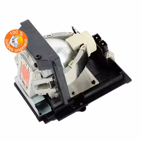 Lampe vidéoprojecteur Optoma - Original Inside - OI-SP.8JN08GC01