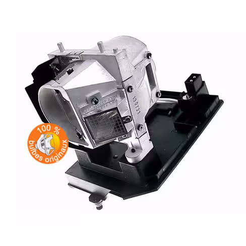 Lampe vidéoprojecteur Optoma - Original Inside - OI-SP.8JQ01GC01