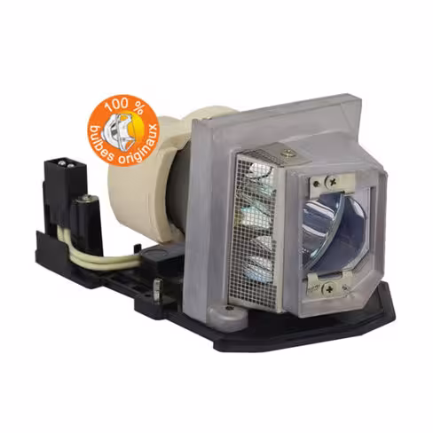Lampe vidéoprojecteur Optoma - Original Inside - OI-SP.8LG01GC01