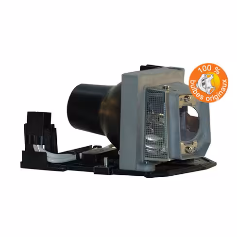 Lampe vidéoprojecteur Ricoh - Original Inside - OI-512984