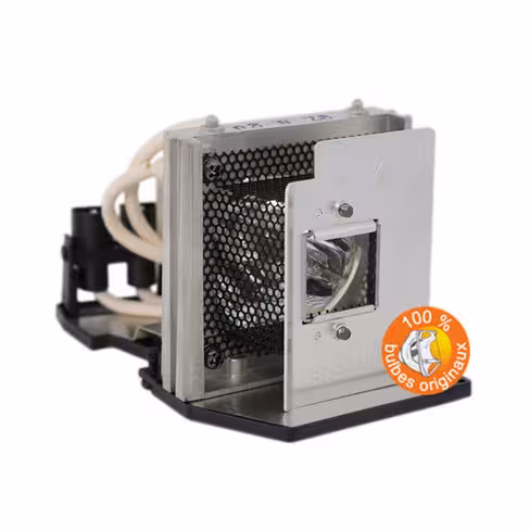 Lampe vidéoprojecteur Toshiba - Original Inside - OI-TLPLW3