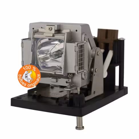 Lampe vidéoprojecteur Vivitek - Original Inside - OI-5811100818-S
