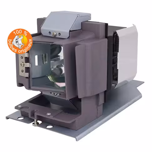 Lampe vidéoprojecteur Vivitek - Original Inside - OI-5811118715-SVV