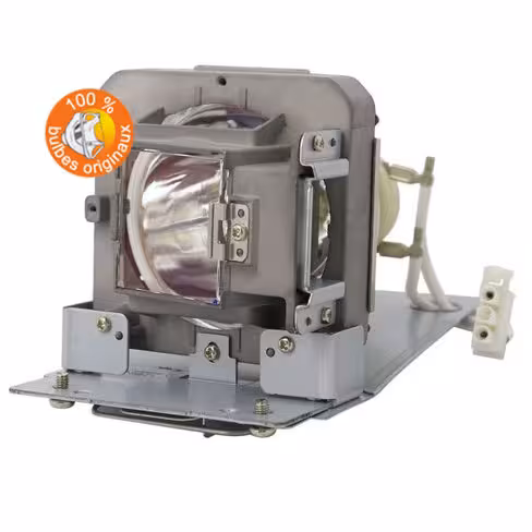 Lampe vidéoprojecteur Vivitek - Original Inside - OI-5811119560-SVV
