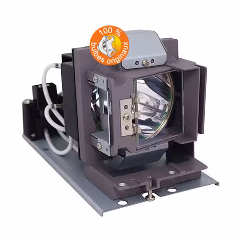 Lampe vidéoprojecteur Vivitek - Original Inside - OI-5811120259-SVV