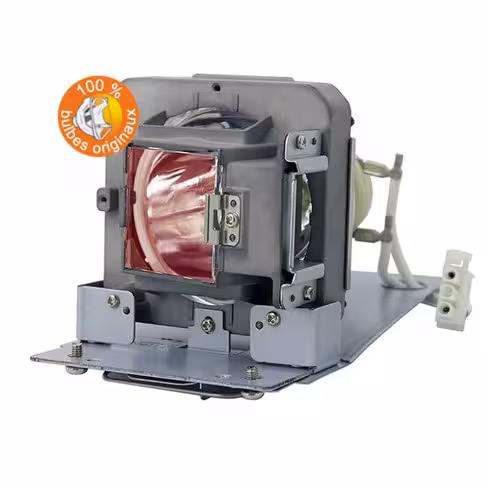 Lampe vidéoprojecteur Vivitek - Original Inside - OI-5811120OI-589-S