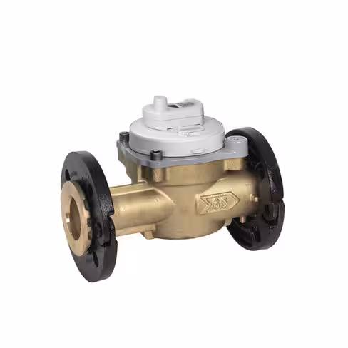 Compteur d'eau industriel Flostar - DN 65 - l. 300 mm - R315 - Q3=40 m3/h - TVM MID équipé Cyble 5 LORA