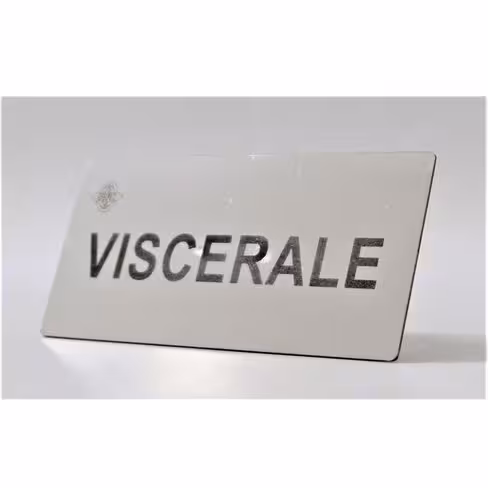 Plaque gravée - VICERALE - clipsable - 100 x 50 mm