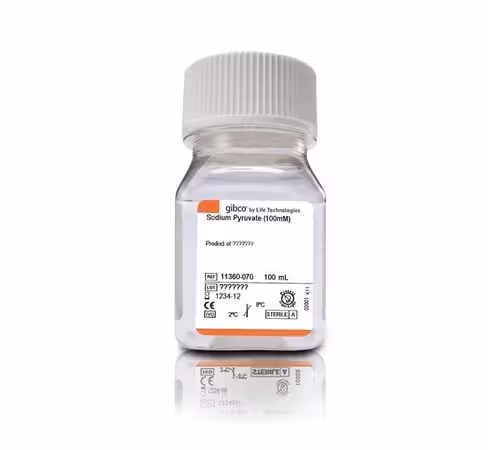 Pyruvate de sodium (100 mM) 100 ml