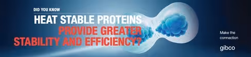 Heat Stable FGF-10 Recombinant Protein 100 µg