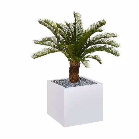 Jardinière métallique Carre - h. 38 cm - avec palmier