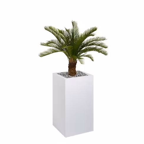 Jardinière métallique Carre - h. 74 cm - avec palmier
