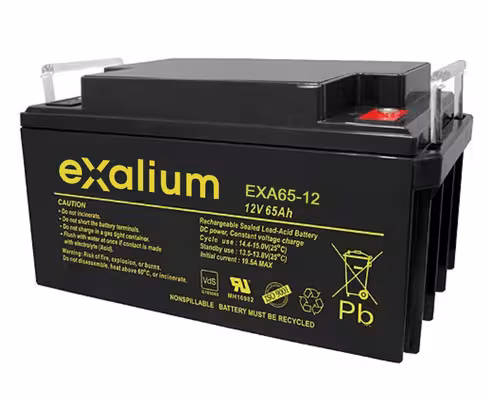 Batterie plomb - Exalium - 12 v 65 Ah - 350x166x174 mm- 1 unité