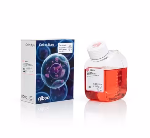 Gibco benchstable dmem 10 x 500ml