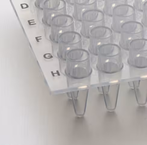 Plaque PCR 24 puits 0,2 ml low profile certifiée puits surélevés naturel x 40