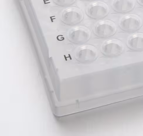 Plaque PCR 96 0,2 ml pour PCR BIORAD et EPP blanc blanc x 10