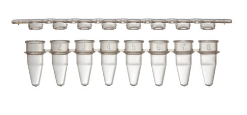 Barrette de 8 tubes PCR 0,1 ml low-profile et barrettes de 8 bouchons plats xtra clear x 125