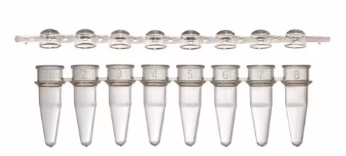Barrette de 8 tubes PCR 0,2 ml et barrette de 8 bouchons dômés x 125