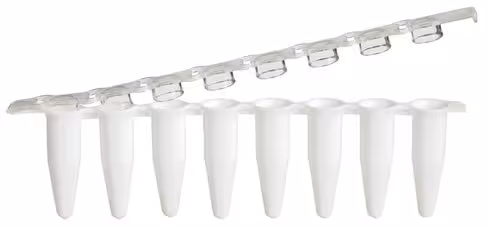 Barrette 8 tubes PCR 0,2 ml barrette bouchons plats attachés s transparent xtraclear blanc x 125