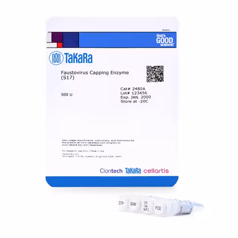 Faustovirus Capping Enzyme (S17), 500 unités