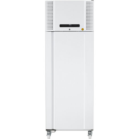 Armoire laboratoire négative -25°C ±5°C - 600 l - froid ventilé - porte simple