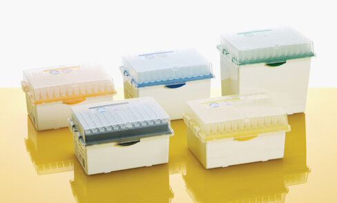 Boîte vide pour recharges de pointes eptiPS epquality 1250-5000µl autoclavable