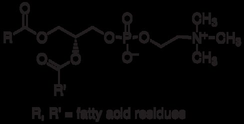 Lecithin from soybean 250 g