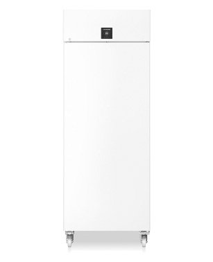 Armoire négative -20°C, 871 litres porte pleine