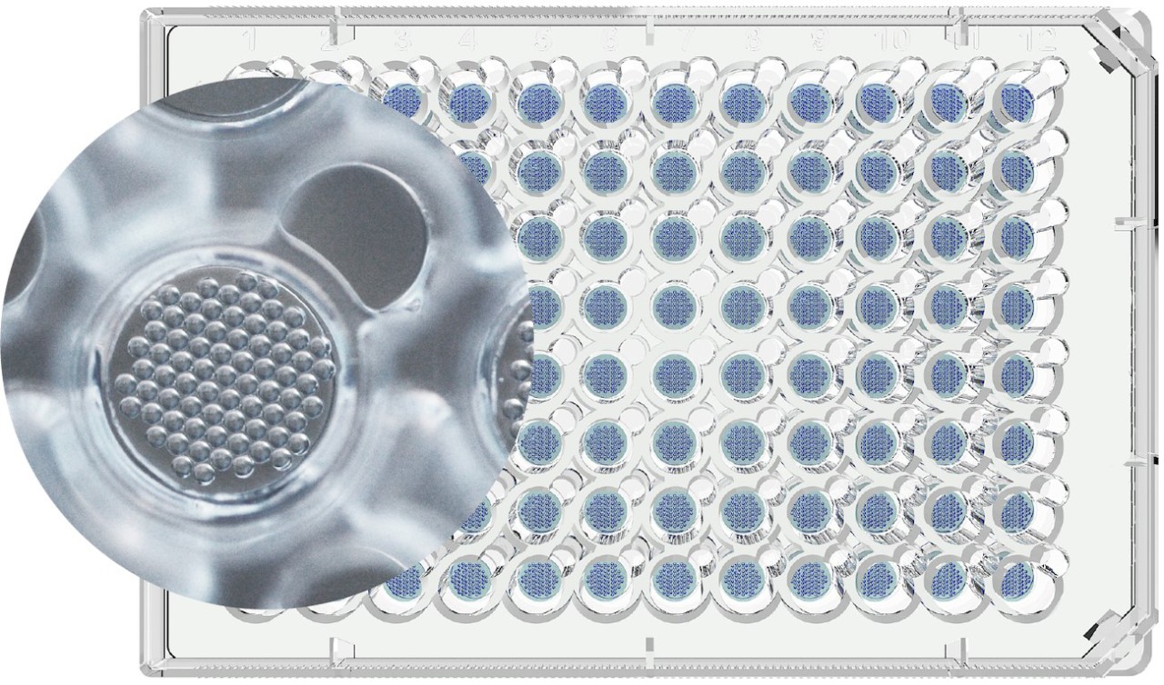 Plaque Culture 3D Millicell® Microwell Plates 400 µm U-bottom 96-well Hydrogel Plates, Organoid and Spheroid