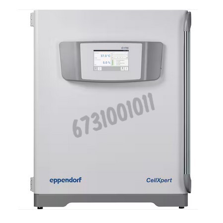 Incubateur à CO2/O2 (1-19 %) 170 L IR stérilisation température 180 °C poignée côté droit CellXpert C170i