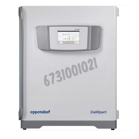 Incubateur à CO2/O2 (1-19 %) 170 L IR stérilisation température 180 °C poignée côté gauche CellXpert C170i
