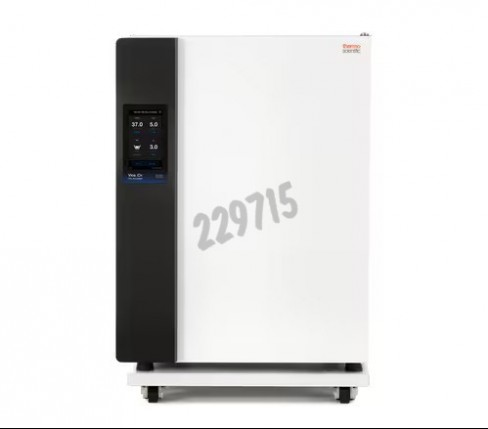 Incubateur à CO2 Thermo Scientific VIOS iDx 165 intérieur acier inox sonde CO2 TC180