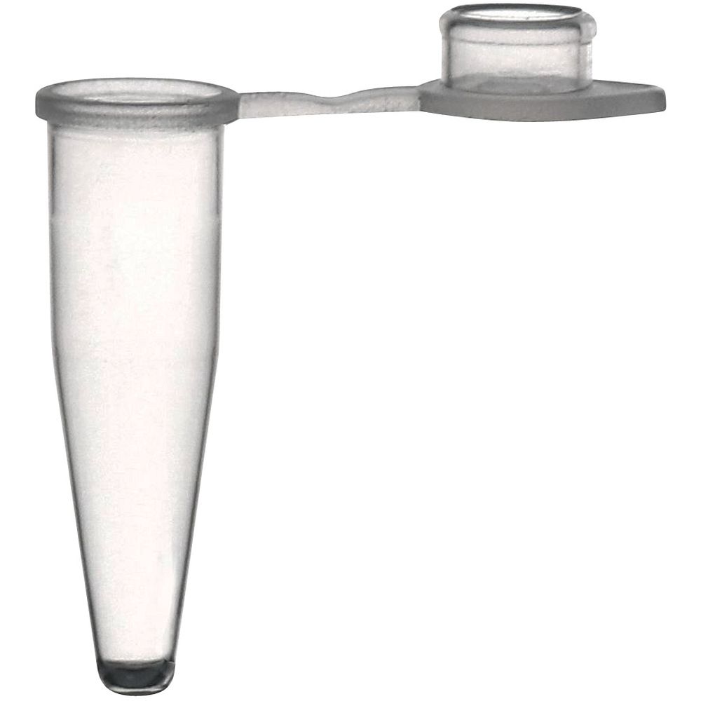 Microtube PCR 1,5 ml en PP, gradués, en vrac x 500