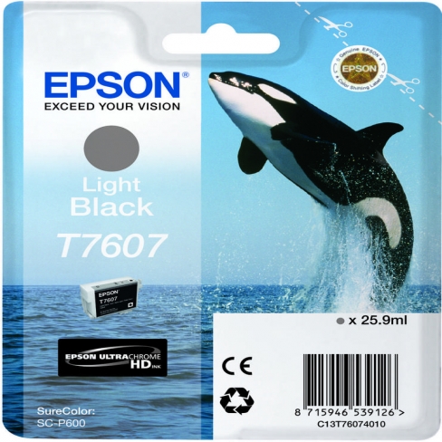 Cartouche d'encre Epson Orque T7607 - C13T76074010 - gris - l'unité