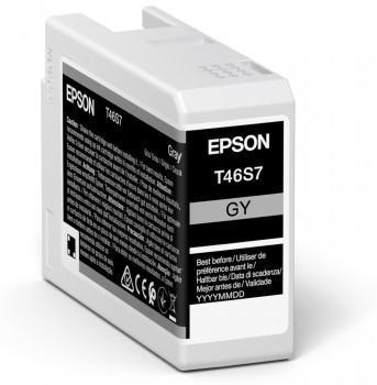 CART-C13T46S700-EPSON-GRIS-PAR 1