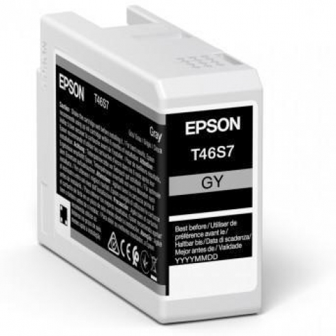 CART-C13T46S700-EPSON-GRIS-PAR 1