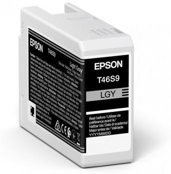 CART-C13T46S900-EPSON-GRIS CLAIR-PAR 1