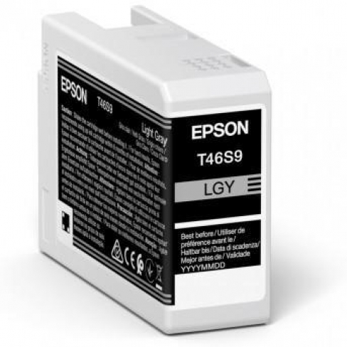 CART-C13T46S900-EPSON-GRIS CLAIR-PAR 1
