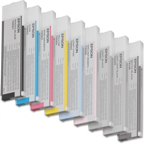 Cartouche d'encre Epson C13T606700 - gris - l'unité