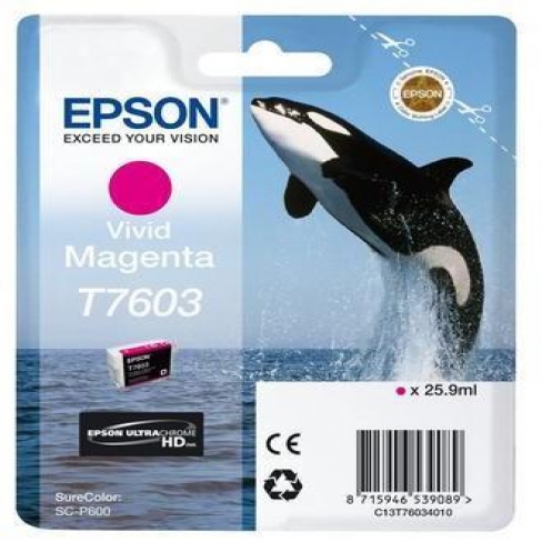Cartouche d'encre Epson Orque T7603 - C13T76034010 - magenta - l'unité