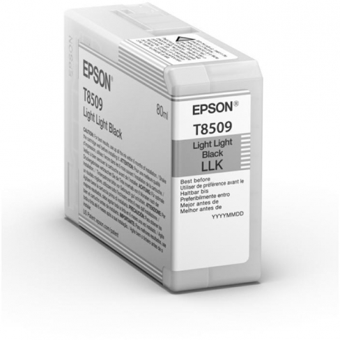 Cartouche jet d'encre Epson C13T850900 Noir clair - l'unité