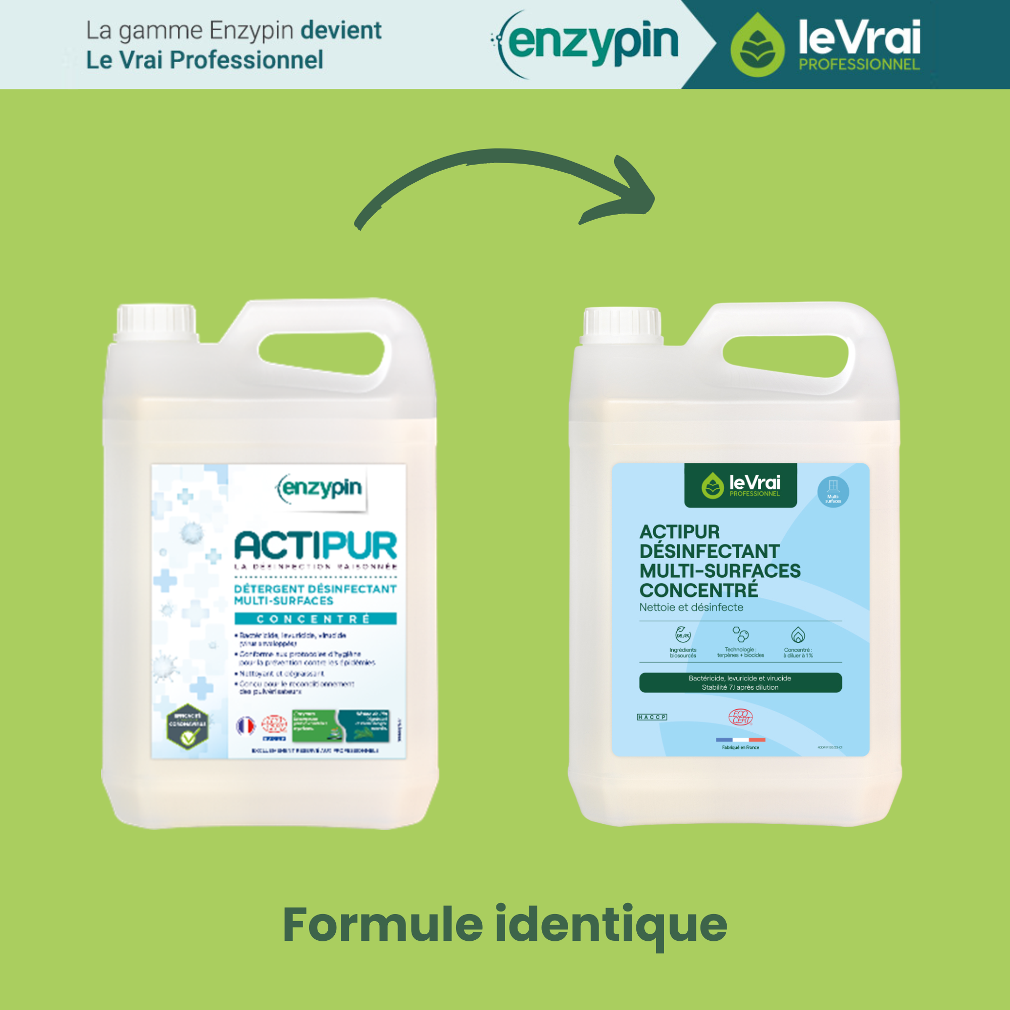 Détergent désinfectant virucide multisurfaces concentré Actipur - 1 carton de 4 bidons de 5 l