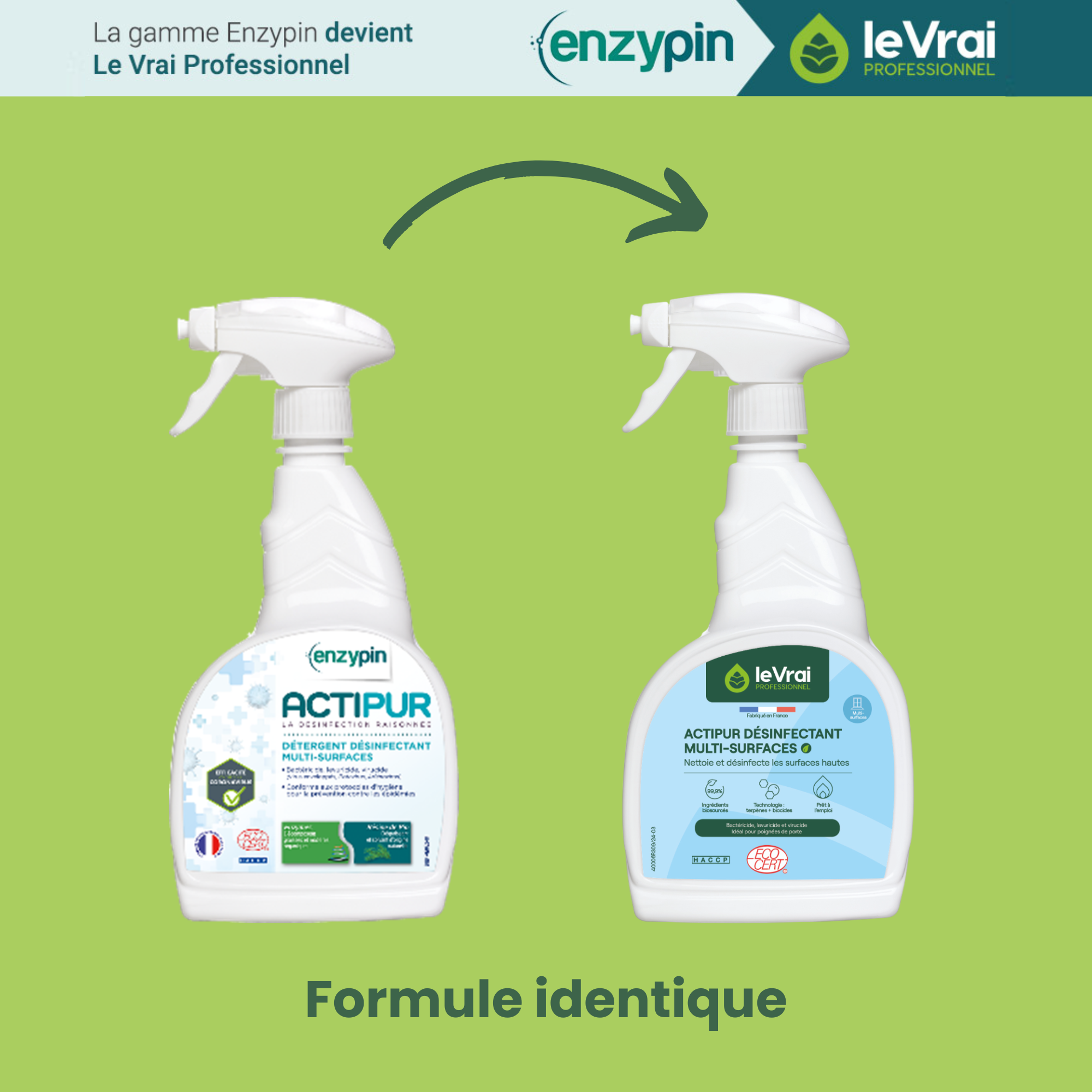 Détergent désinfectant virucide multisurfaces Actipur - 1 carton de 6 sprays de 750 ml